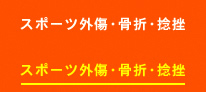 スポーツ外傷・骨折・捻挫