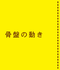 骨盤の動き